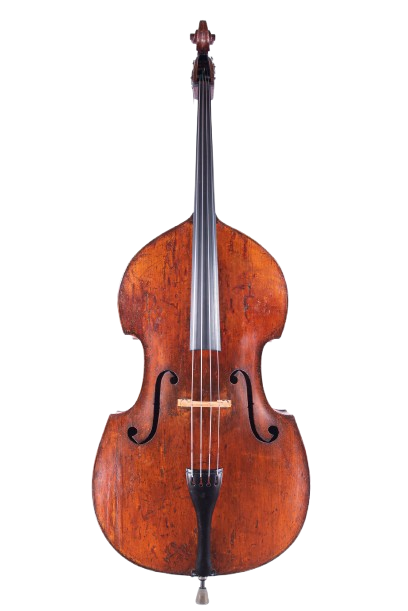 Double bass, front view